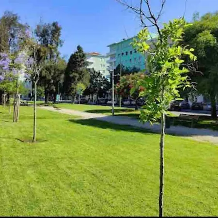 Ola ! Central Lightning Quiet View Garden 10mn Airport Apartment
